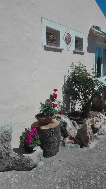 Agriturismo Monte Pino Telti Екстер'єр фото