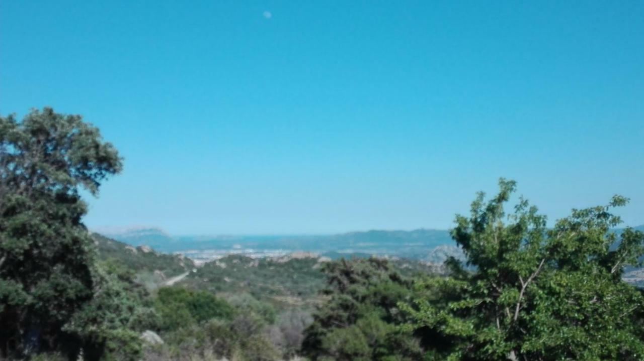 Agriturismo Monte Pino Telti Екстер'єр фото