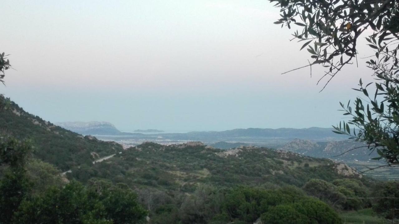 Agriturismo Monte Pino Telti Екстер'єр фото